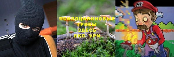 прущий лед Магас