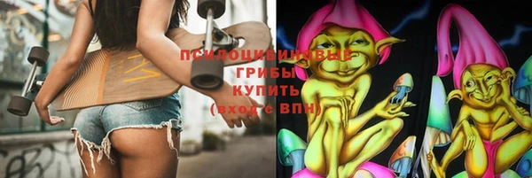 молекула духа Майский