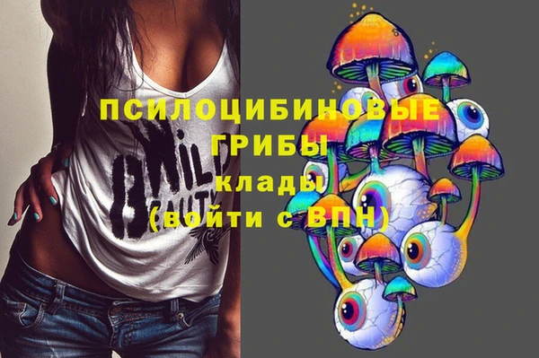 гидропоника Магадан