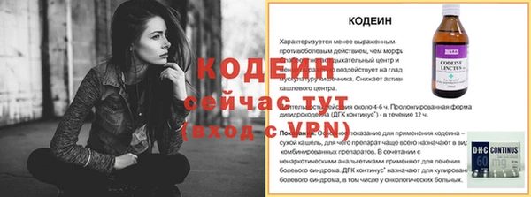 мдпв Протвино