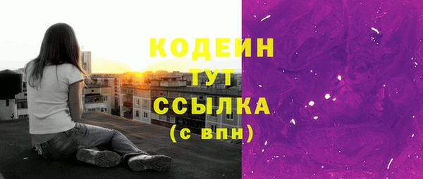 молекула духа Майский