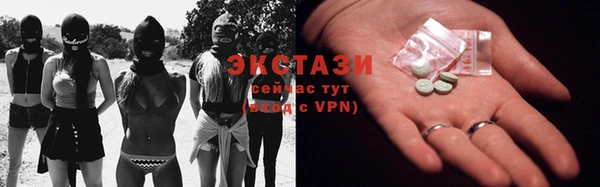 индика Мегион