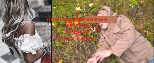 ГАЛЛЮЦИНОГЕННЫЕ ГРИБЫ Бердск