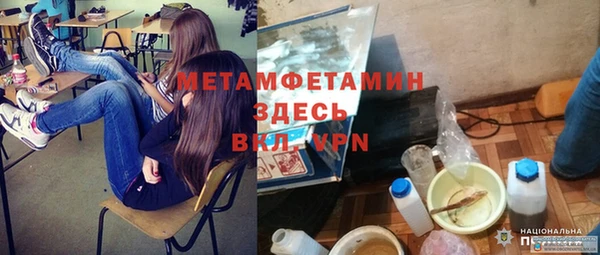 индика Мегион