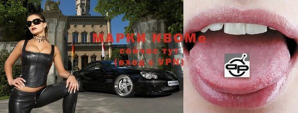 индика Мегион