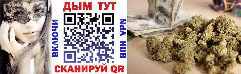 Бошки Шишки планчик Малаховка